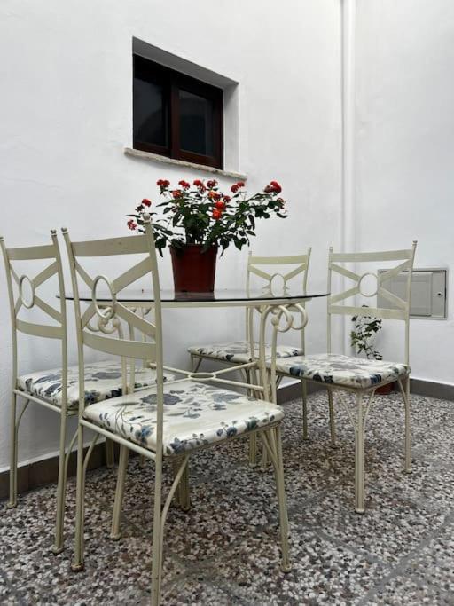 Apartamentos Casa Vicario ヘレス エクステリア 写真